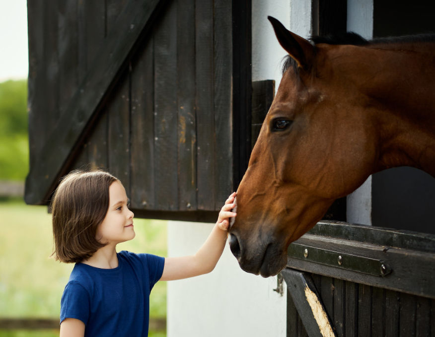 Little,Girl,Strokes,A,Beautiful,Horse,In,The,Barn,In